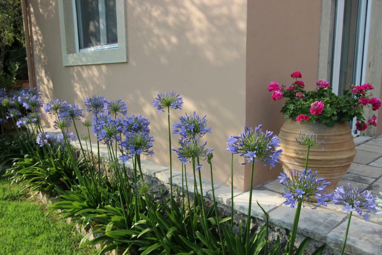 Stone Rose Villa Agios Ioannis  Exterior photo
