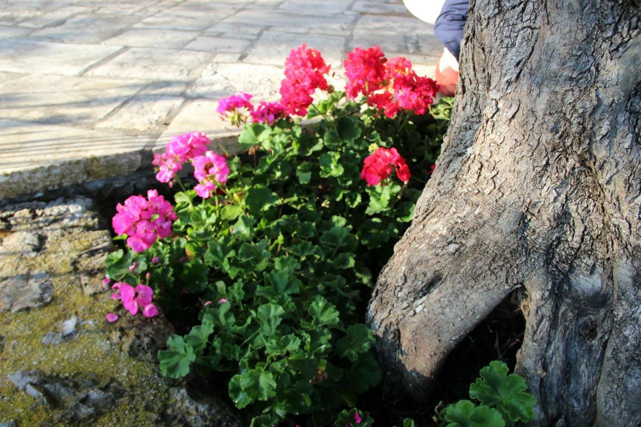 Stone Rose Villa Agios Ioannis  Exterior photo